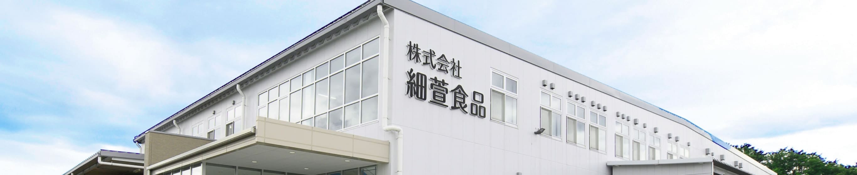 企業情報